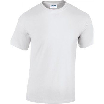 Textil Homem T-shirts e Pólos Gildan T-shirt  Heavy Cotton ™ Branco