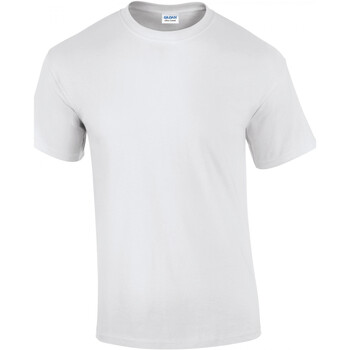 Textil Homem T-Shirt mangas curtas Gildan T-shirt ultra  Ultra Cotton ™ Branco