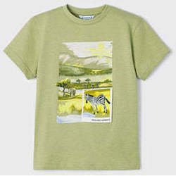 Textil Rapaz T-shirts e Pólos Mayoral 3010-41-4-17 Verde