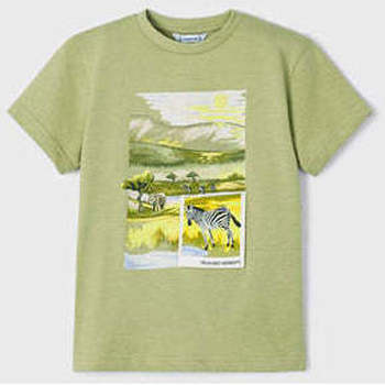Textil Rapaz T-shirts collared e Pólos Mayoral 3010-41-4-17 Verde