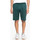 Textil Homem Shorts / Bermudas DC Shoes DC HEGGERTY SHORT JUNE BUG SEDYFB03047 Verde