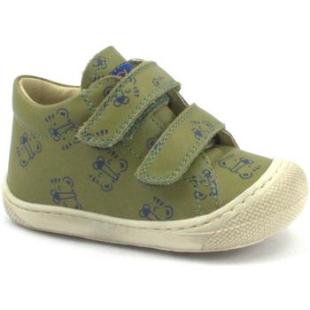 Sapatos Criança Pantufas bebé Naturino NAT-E23-12904-ST Verde