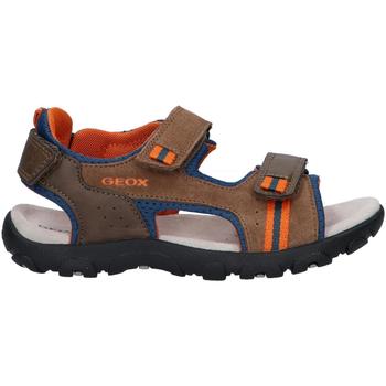 Sapatos Rapaz Sandálias Geox J2524A 01422 J S STRADA Marr