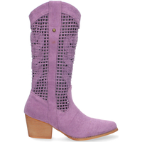 Sapatos Mulher Botas H&d YZ22-145 Violeta
