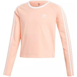 Textil Rapariga Sweats adidas Originals 3Stripes Crp Ls Rosa