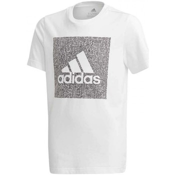 Textil Rapaz T-Shirt mangas curtas adidas castanho Originals Jb Mh Bos Box Branco