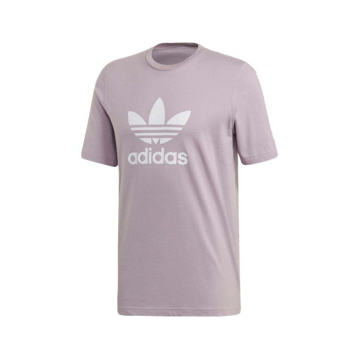 Textil Homem T-shirts e Pólos adidas Originals Trefoil T-Shirt Violeta