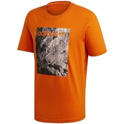 Textil Homem T-shirts e Pólos adidas Originals Adv Tee Laranja