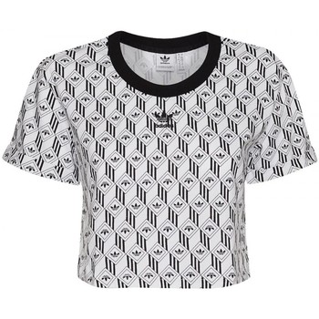 Textil Mulher T-shirts e Pólos adidas Originals Cropped T-Shirt Preto