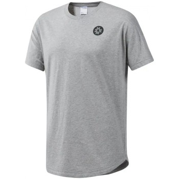 Textil Homem T-shirts e Pólos Reebok Sport Aztech Mountain Crater Lake sweatshirt Cinza