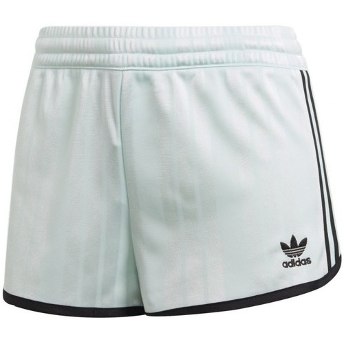 Textil Mulher Shorts / Bermudas adidas new Originals Shorts Verde