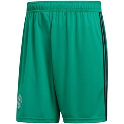 Textil Homem Shorts / Bermudas amazon adidas Originals Manchester United Gk Shorts Verde