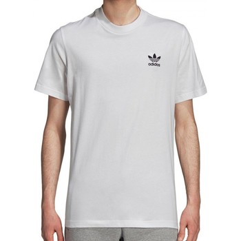 Textil Homem T-shirts e Pólos adidas Originals Catalog Ss Branco