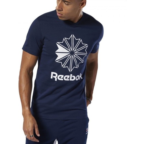 Textil Homem T-shirts e Pólos Reebok Sport Cl Big Logo Tee Azul