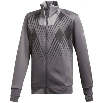 Textil Rapaz Sweats page adidas Originals Yb P Ttop Cinza