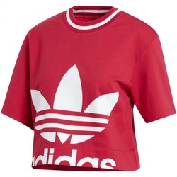 Textil Mulher T-shirts e Pólos adidas Originals Cropped Tee W Rosa