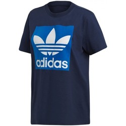 Textil Mulher T-shirts e Pólos adidas Originals Bf Tee Azul