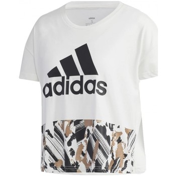 Textil Mulher T-shirts Cropped e Pólos adidas Originals W U-4-U Crop T Branco