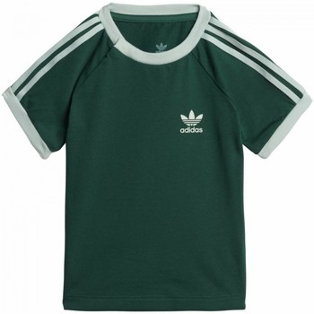 Textil Criança T-Shirt Man mangas curtas adidas Originals 3Stripes Tee Verde