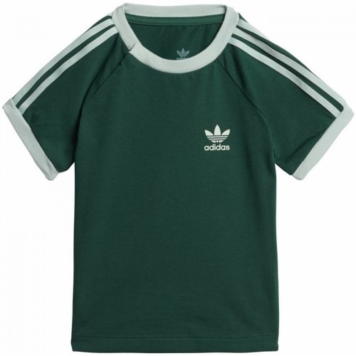 Textil Criança T-Shirt mangas curtas adidas terrex Originals 3Stripes Tee Verde