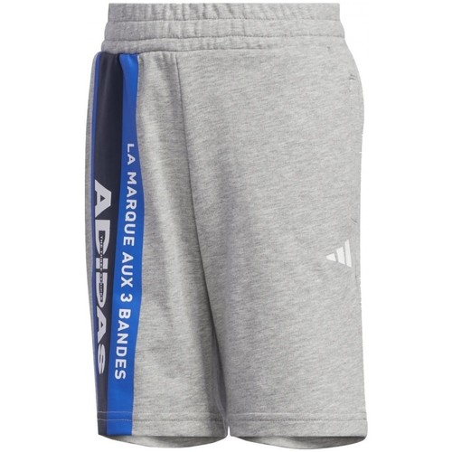 Textil Rapaz Shorts / Bermudas Smith adidas Originals Lb Ur Kn Short Cinza