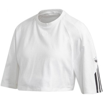 Textil Mulher T-shirts e Pólos adidas Originals T Shirt Crop Branco