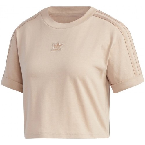 Textil Mulher T-shirts e Pólos adidas Originals Cropped T-Shirt Bege