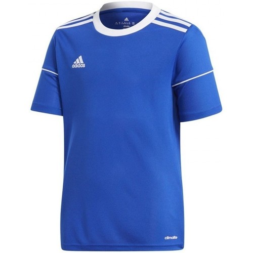 Textil Rapaz T-Shirt mangas curtas futebol adidas Originals Squad 17 Jsy Y Azul