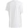 Textil Homem T-shirts e Pólos adidas Originals Adv Tee Branco
