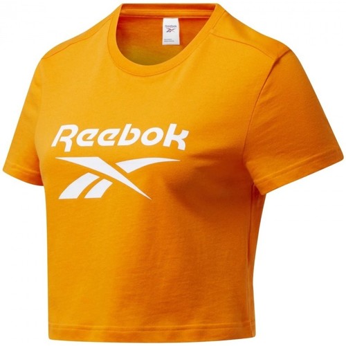 Textil Mulher T-shirts e Pólos Reebok Zapatilla Sport Cl F Big Logo Tee Laranja