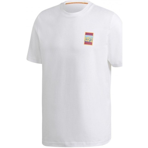Textil Homem T-shirts e Pólos myanmar adidas Originals Adplr Gfx Tee Branco