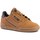 Sapatos Homem Sapatilhas adidas Originals Continental 80 J Castanho