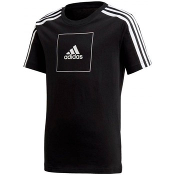 Textil Rapaz T-Shirt mangas curtas adidas Originals nike england home goalkeeper shirt Preto