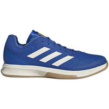 Sapatos Homem Desportos indoor adidas Originals  Azul
