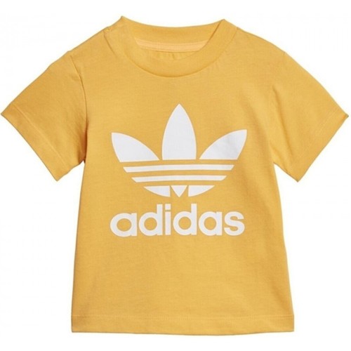 Textil Criança T-Shirt Man mangas curtas adidas Originals Trefoil Tee Ouro