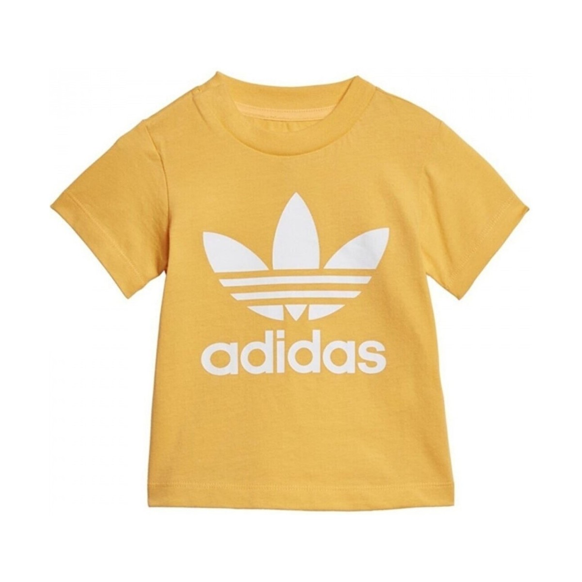 Textil Criança T-Shirt mangas curtas adidas Originals Trefoil Tee Ouro