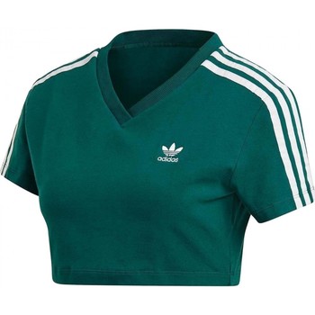 Textil Mulher T-shirts e Pólos player adidas Originals  Verde