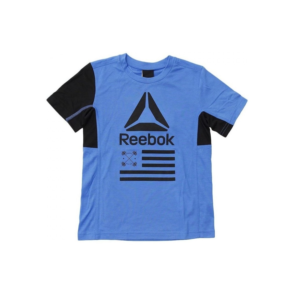 Textil Rapaz T-Shirt mangas curtas Reebok Sport Kid Graphic Short Sleeve Azul