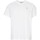 Textil Homem T-shirts e Pólos adidas Originals Front Back Tee Branco