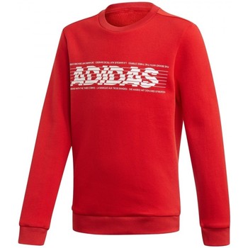 Textil Rapaz Sweats adidas Sport Originals Yb Sid Br Crew2 Vermelho