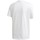 Textil Homem T-shirts e Pólos adidas Originals Sprt Icon Tee Branco