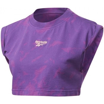 Textil Mulher T-shirts e Pólos Reebok Spray Sport Cl Ic Tee Multicolor