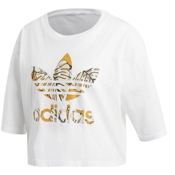 Textil Mulher T-shirts e Pólos yellow adidas Originals  Branco