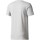 Textil Homem T-shirts e Pólos adidas Originals Pdx Classic Tee Cinza