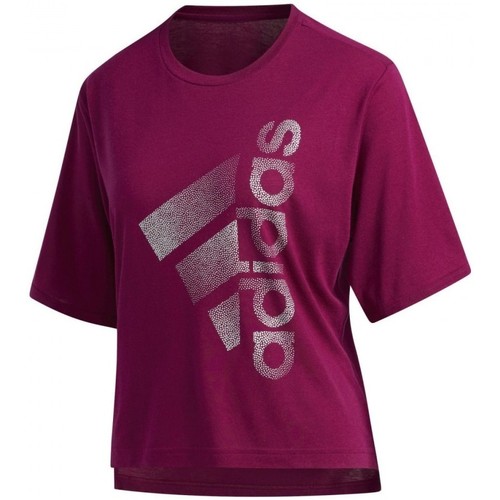Textil Mulher T-shirts e Pólos adidas Originals Holiday Tee W Violeta