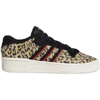 Sapatos Mulher Sapatilhas products adidas Originals Rivalry Low W Bege