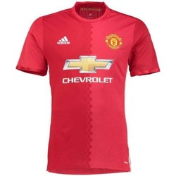 Textil Homem T-shirts e Pólos adidas Originals Manchester United Fc Replica Domicile Vermelho