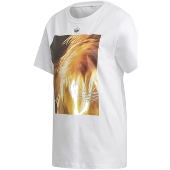 Textil Mulher T-shirts e Pólos adidas Originals Graphic T Shirt Branco