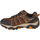 Sapatos Homem Sapatos de caminhada Skechers Pine Trail - Kordova Castanho