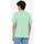 Textil Homem T-shirts e Pólos Dickies Ss mapleton t-shirt Verde